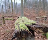 Bild4