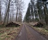 Bild6