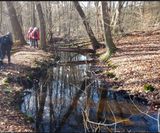 25_fluss
