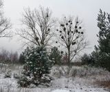 DSC02059