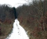 DSC02492